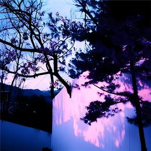 欧美性猛交xxxxbbbb
