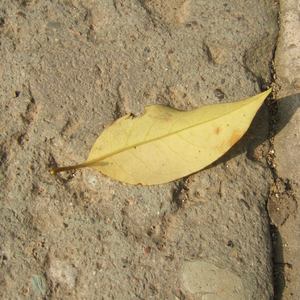 欧美性猛交xxxxbbbb
